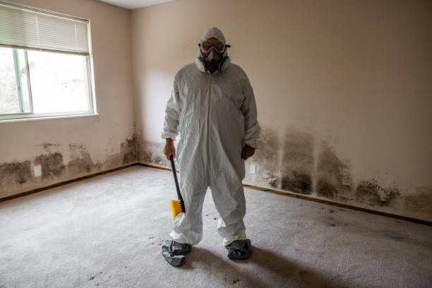 Best Kitchen Mold Remediation in Bayou Country Clu, LA